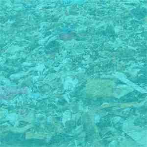 Solypsis - Cyan Album mp3 album