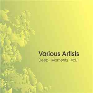 Various - Deep Moments Vol. 1 mp3 album