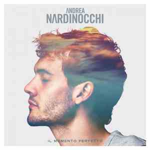 Andrea Nardinocchi - Il Momento Perfetto mp3 album