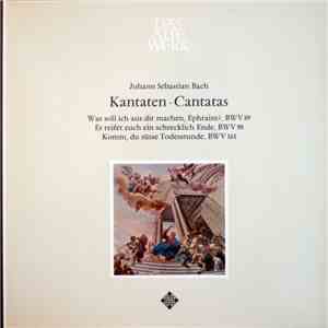 Bach, Concerto Amsterdam, Jaap Schröder - Kantaten・Cantatas mp3 album