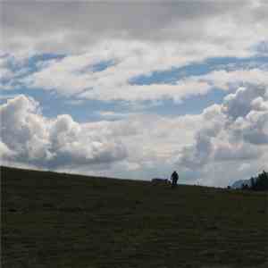Davide Carrozza - Forcipe mp3 album