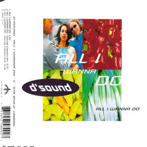 D'Sound - All I Wanna Do mp3 album