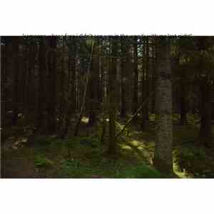 elizabeth Veldon - 'Someone Whose Face I Didn't See Was In The Woods With Me Last Night' mp3 album