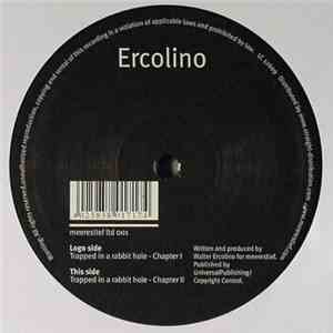Ercolino - Trapped In A Rabbit Hole mp3 album