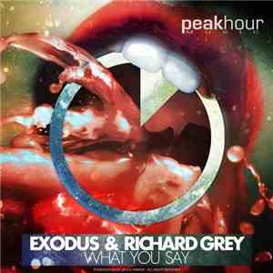 Exodus  & Richard Grey - What You Say mp3 album