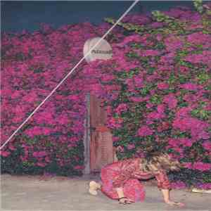 Feist - Pleasure mp3 album