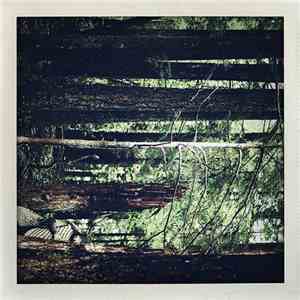 Moosefly - Something In The Trees mp3 album