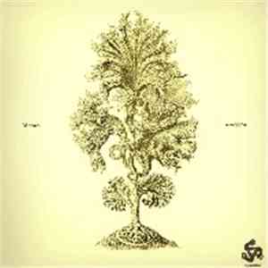 Mooses / Grey Skies - Super Split Single #6 mp3 album