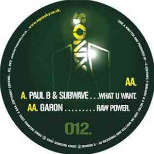 Paul B & Subwave / Garon - What You Want / Raw Power mp3 album