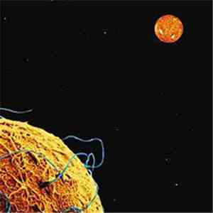 Phideaux - Snowtorch mp3 album