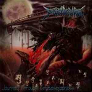 Pukelization - Journey Through Grotesqueness mp3 album