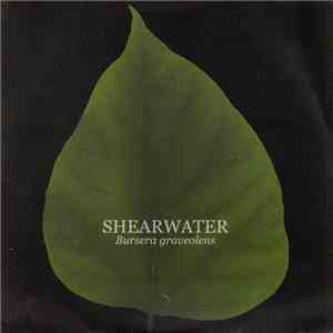 Shearwater - Bursera Graveolens mp3 album