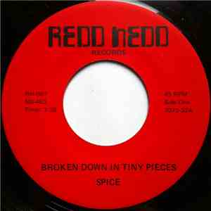 Spice  - Broken Down In Tiny Pieces / Save It For A Rainy Day mp3 album