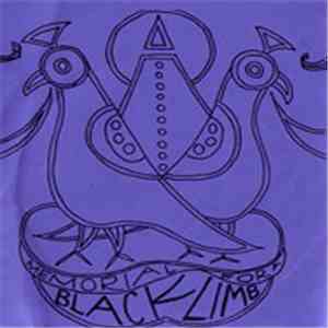 Sunburned Hand Of The Man - Memorial For A Black Limb mp3 album