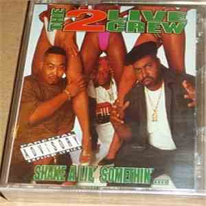The 2 Live Crew - Shake A Lil' Somethin' mp3 album