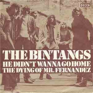 The Bintangs - He Didn't Wanna Go Home / The Dying Of Mr. Fernandez mp3 album
