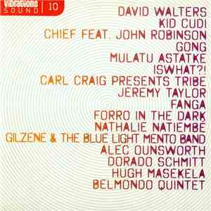 Various - Vibrations Sound 10 mp3 album