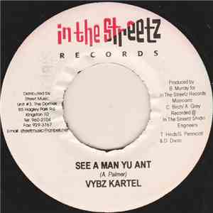 Vybz Kartel - See A Man Yu Ant mp3 album