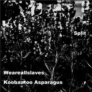 WeAreAllSlaves / Koobaatoo Asparagus - Split mp3 album