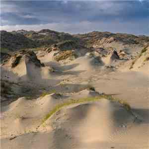 White Manna - Dune Worship mp3 album