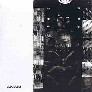 Zircon And The Burning Brains - Anam mp3 album