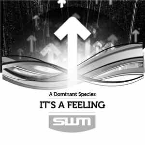 A Dominant Species - It's A Feeling mp3 album