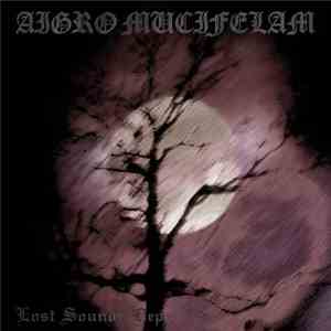 Aigro Mucifelam - Lost Sounds Depraved mp3 album