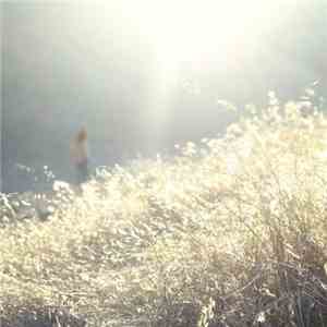 Birds Of Passage and I've Lost - I Was All You Are mp3 album