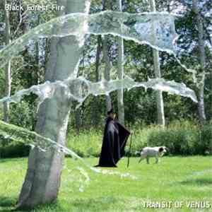 Black Forest Fire - Transit Of Venus mp3 album