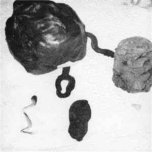 Burnt Friedman - The Pestle mp3 album