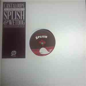 Cantaloupe  - Splish / Wet Dog mp3 album