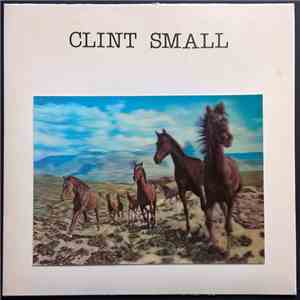 Clint Small - Crack In The Wall mp3 album