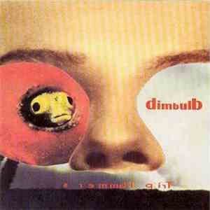 Dimbulb - Trip Hammers mp3 album
