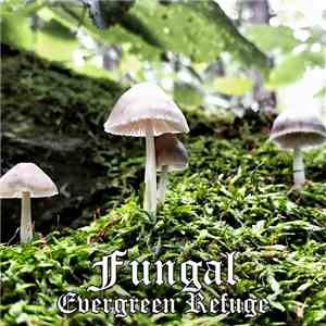 Evergreen Refuge - Fungal mp3 album