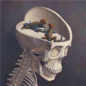 Harsh Words - Reptile Brain mp3 album