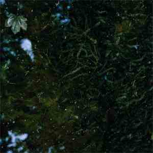 Jake Downs - Fracture mp3 album