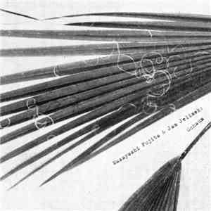 Masayoshi Fujita & Jan Jelinek - Schaum mp3 album