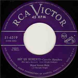 Miguel Aceves Mejía Y El Mariachi Vargas - Hay Un Momento (For Just A Moment) mp3 album