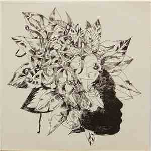 Mélissa Laveaux - Camphor And Copper mp3 album