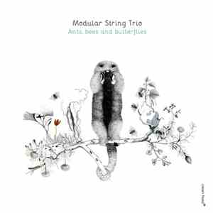 Modular String Trio - Ants, Bees and Butterflies mp3 album