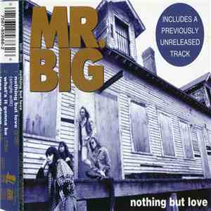Mr. Big - Nothing But Love mp3 album