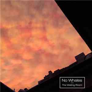 No Whales - The Waiting Room mp3 album