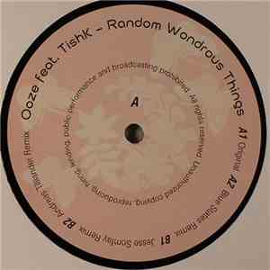 Ooze  feat. Tishk - Random Wondrous Things mp3 album
