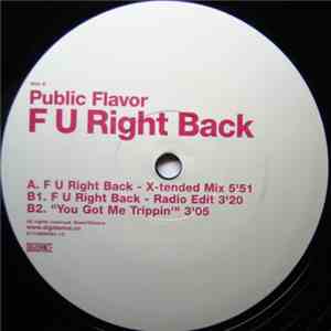 Public Flavor - F U Right Back mp3 album