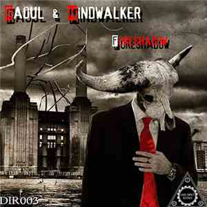 Raoul & Mindwalker - Foreshadow mp3 album