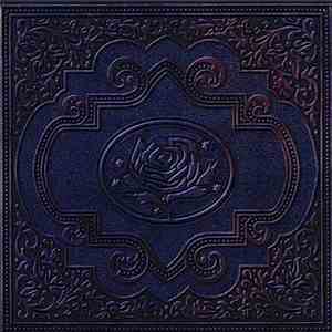 Ryan Adams & The Cardinals - Cold Roses mp3 album