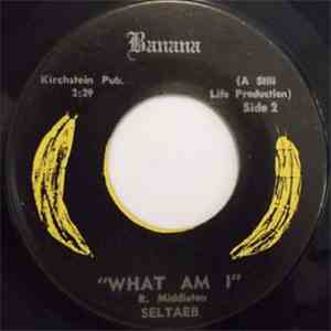 Seltaeb - You'r The Only Girl For Me mp3 album