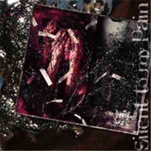 凛 - Silent To My Pain mp3 album