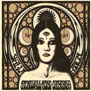 StoneWall noise orchestra - Salvation mp3 album