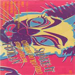 T-Bolan - Shake It mp3 album